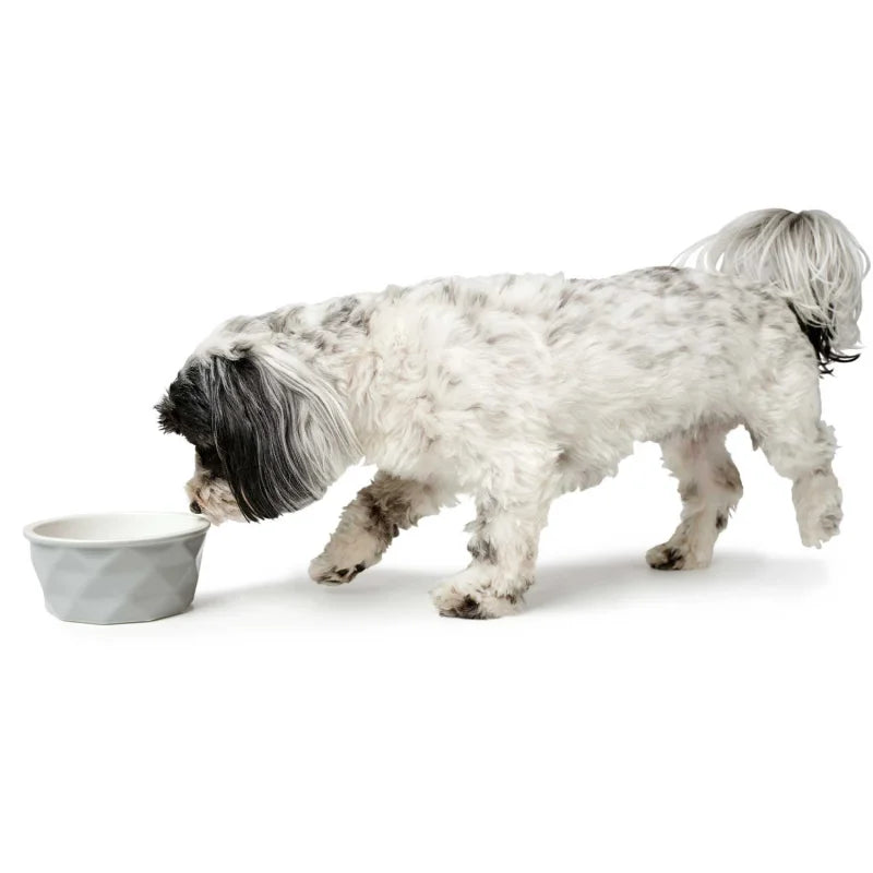 Hundenäpfe - Hunter Keramiknapf Eiby in grau, 550 ml